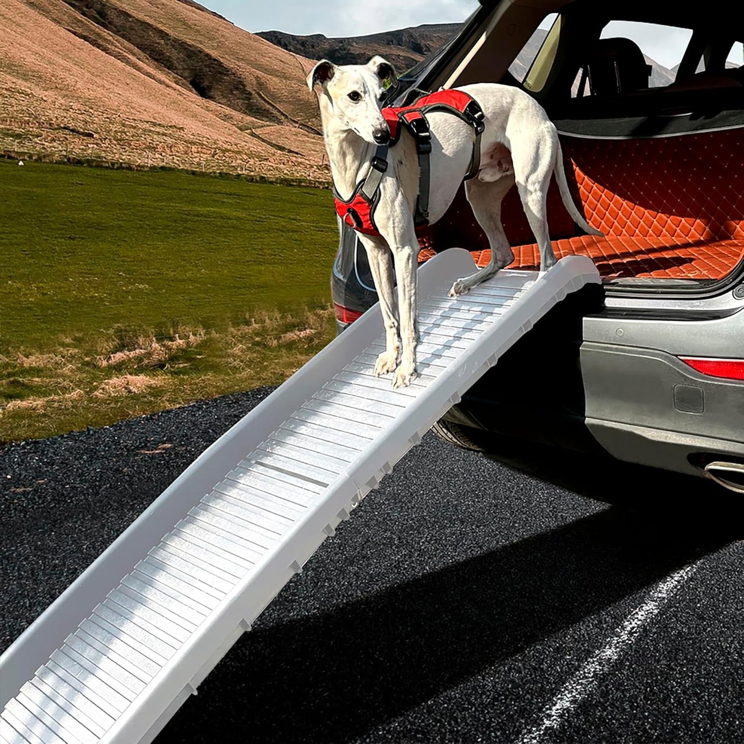 Folding Pet Ramp, 61 Inch, Portable Lightweight Dog or Cat