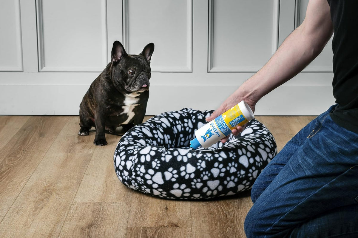 Pet Stain & Odor Remover for Carpet & Upholstery