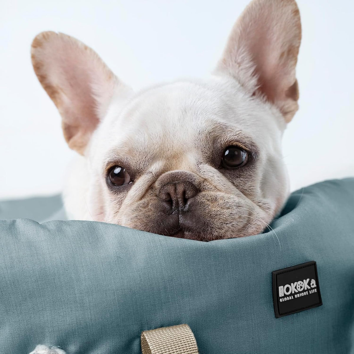 Dog Booster Car Seat for Small Dogs with Heavy Duty Safety