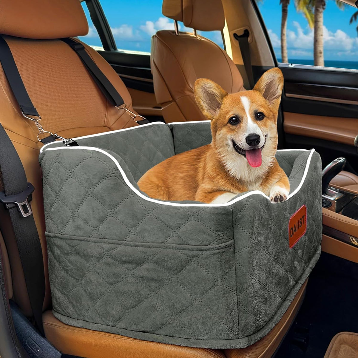 Dog Car Seat for Small Medium Dogs, Detachable Washable
