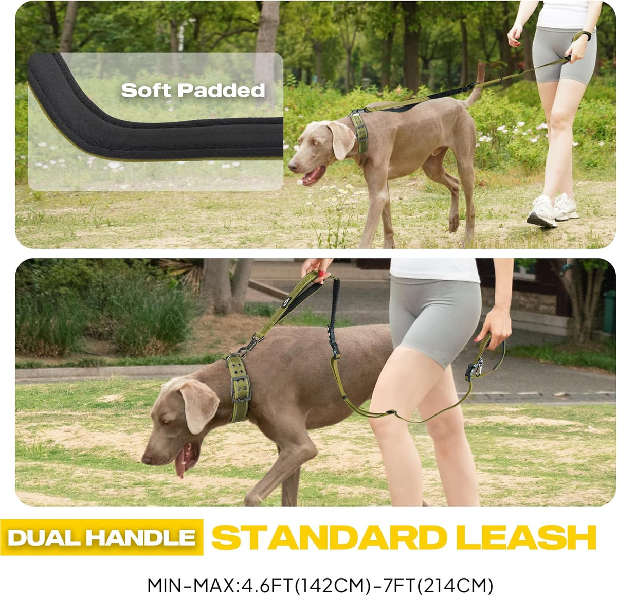 6-in-1 Hands Free Dog Leash Heavy Duty, Reflective Wasit