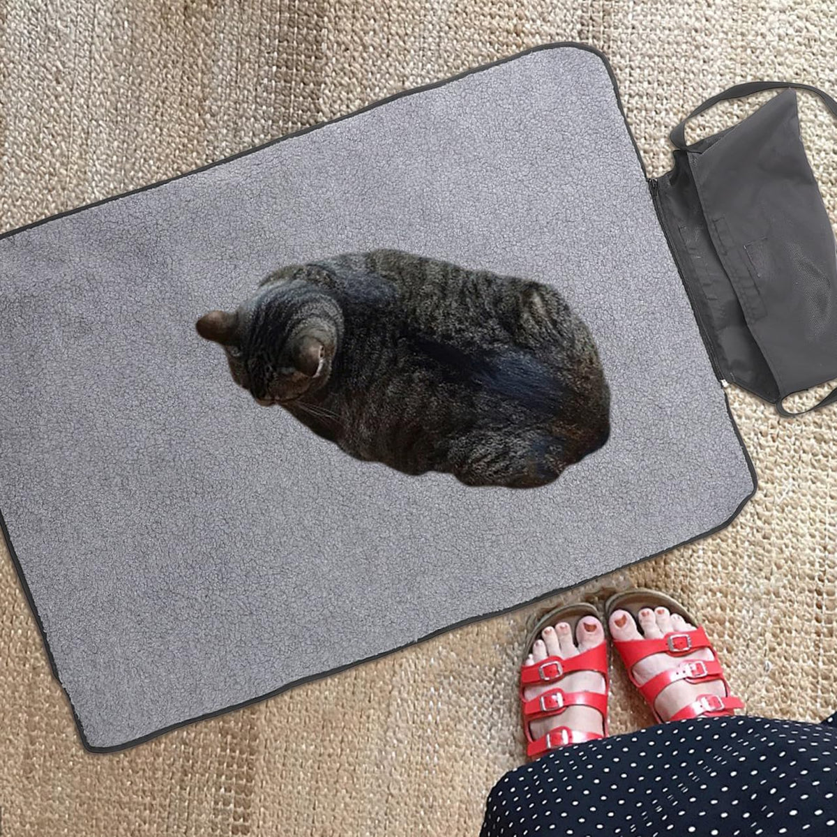 Foldable Pet Blanket Portable Multifunctional Outdoor Mat