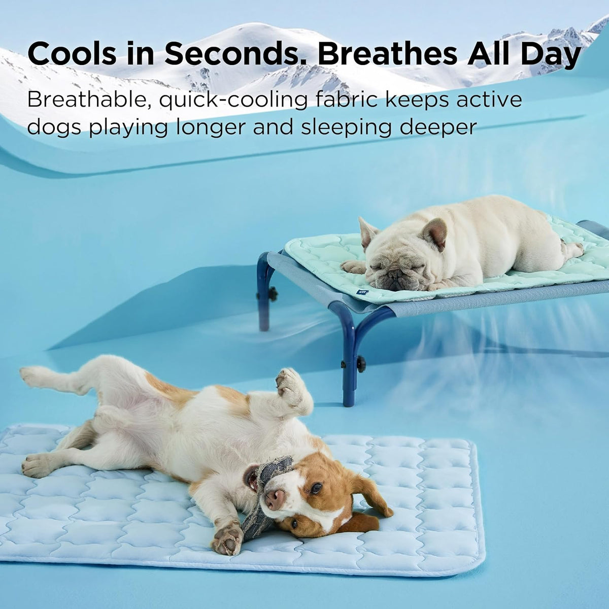 Bedsure Cooling Dog Mat Extra Large, Q-Max>0.5 XL Thin Breathable Cold Crate Pad for Pet, Portable Washable Kennel Bed for Summer Active Dog with Chill Soothing Fabric to Rapid Cooling, 41x28, Blue