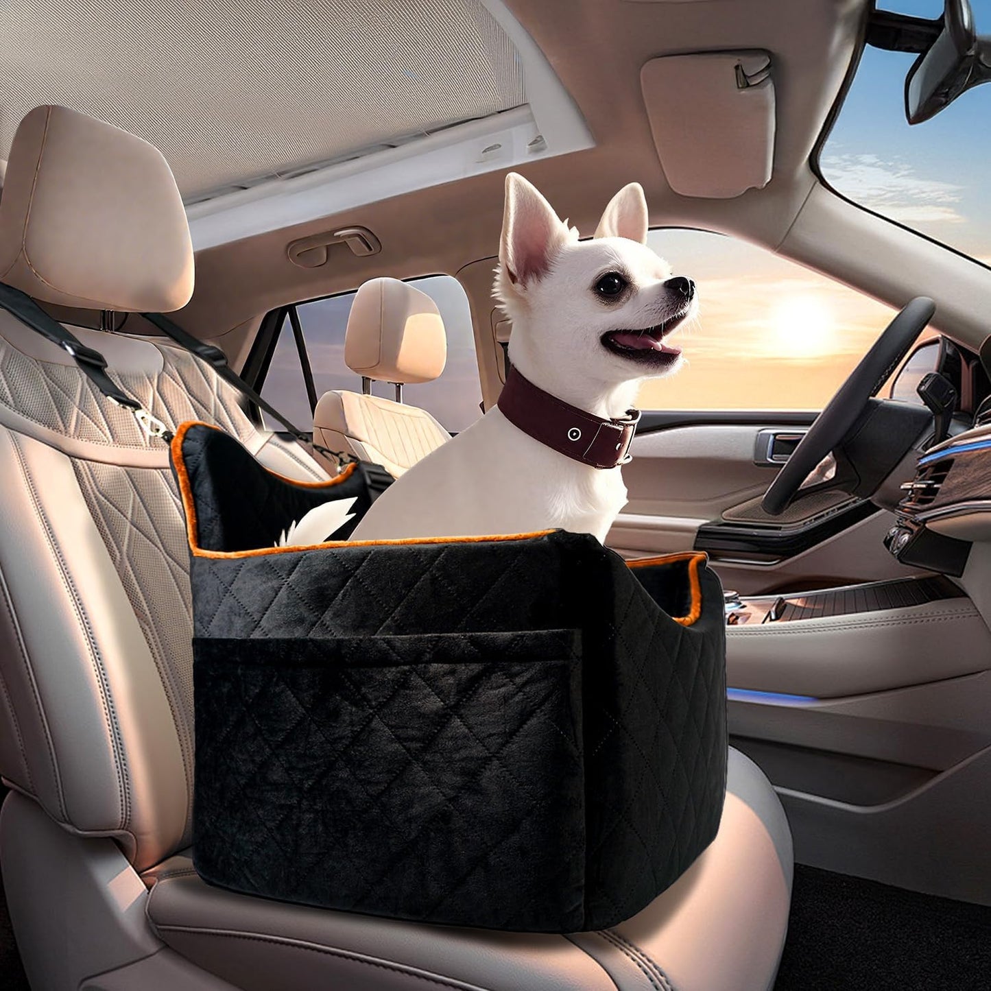 Dog Car Seat for Small Medium Dogs Under 35 lbs, Washable