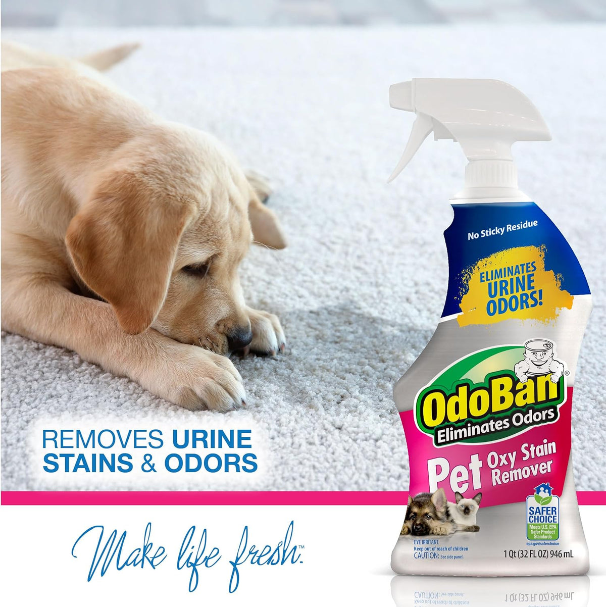 Pet Solutions Oxy Stain Remover, Pet Stain Eliminator, Made