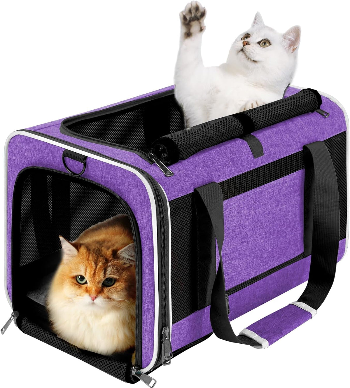 Pet Carrier for Large Cat 20 lbs+ / Soft Sided Small Dog 12