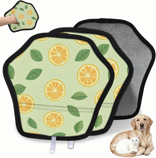 Fruit Lemon Lovely 2Pcs Electrostatic Reusable Pet Hair