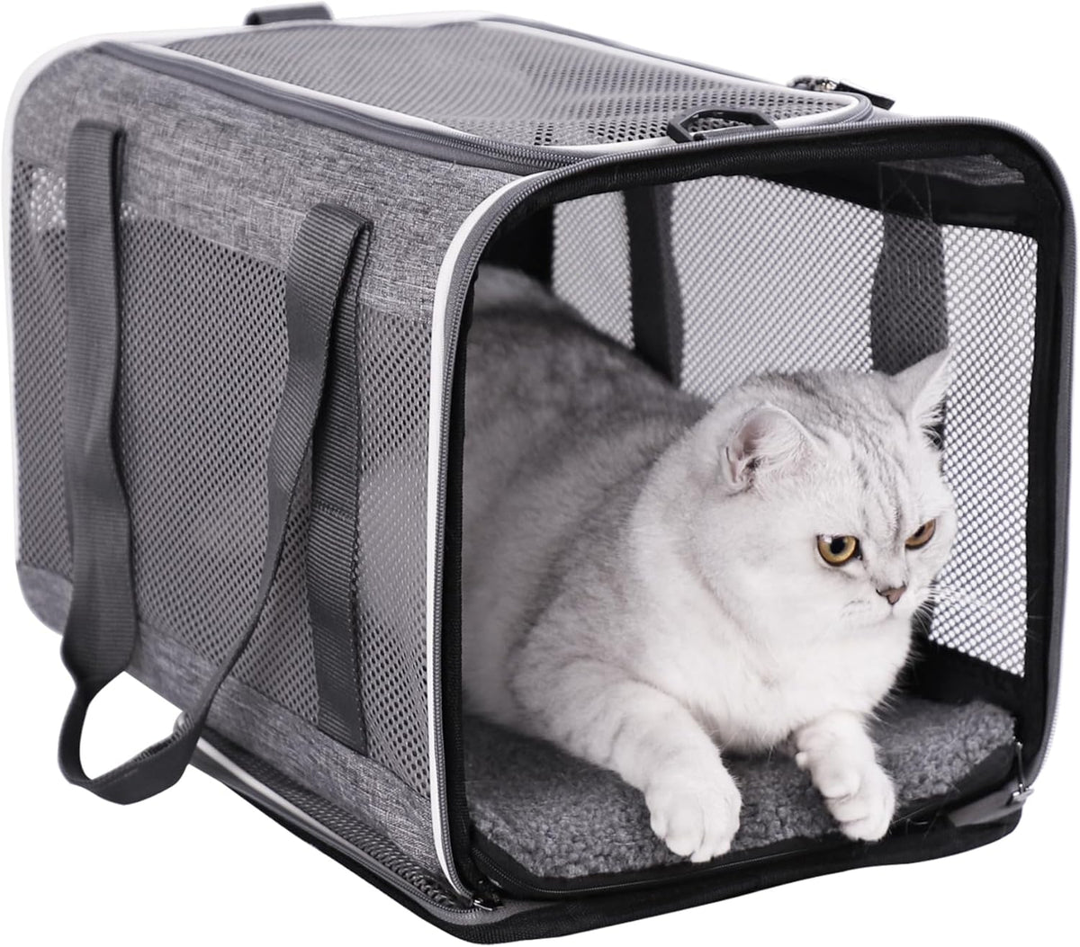 Soft Pet Carrier Bag for Cats and Puppy Under 20 lbs.