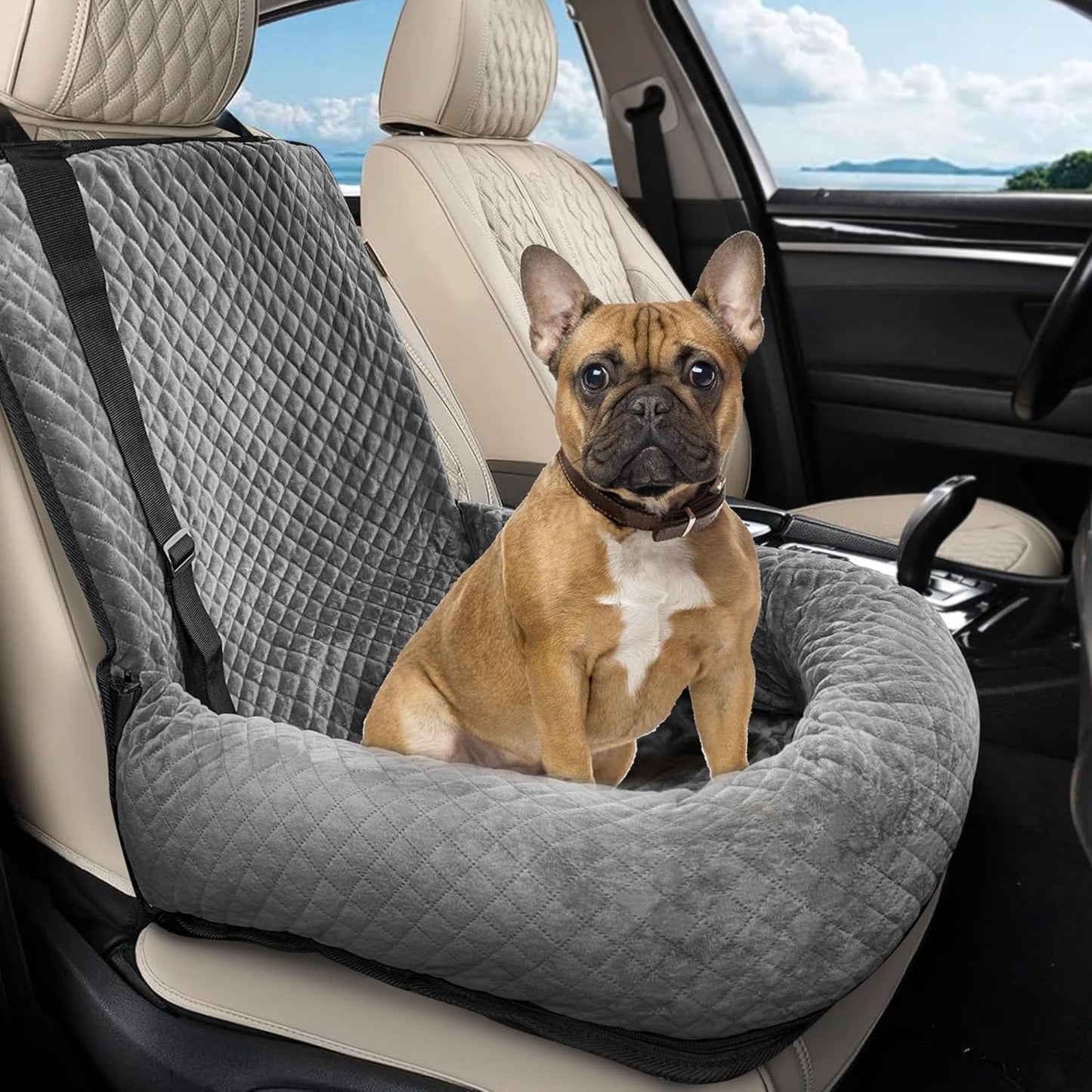 Dog Car Seat for Small/Medium Dogs,Dog Car Bed Washable Pet