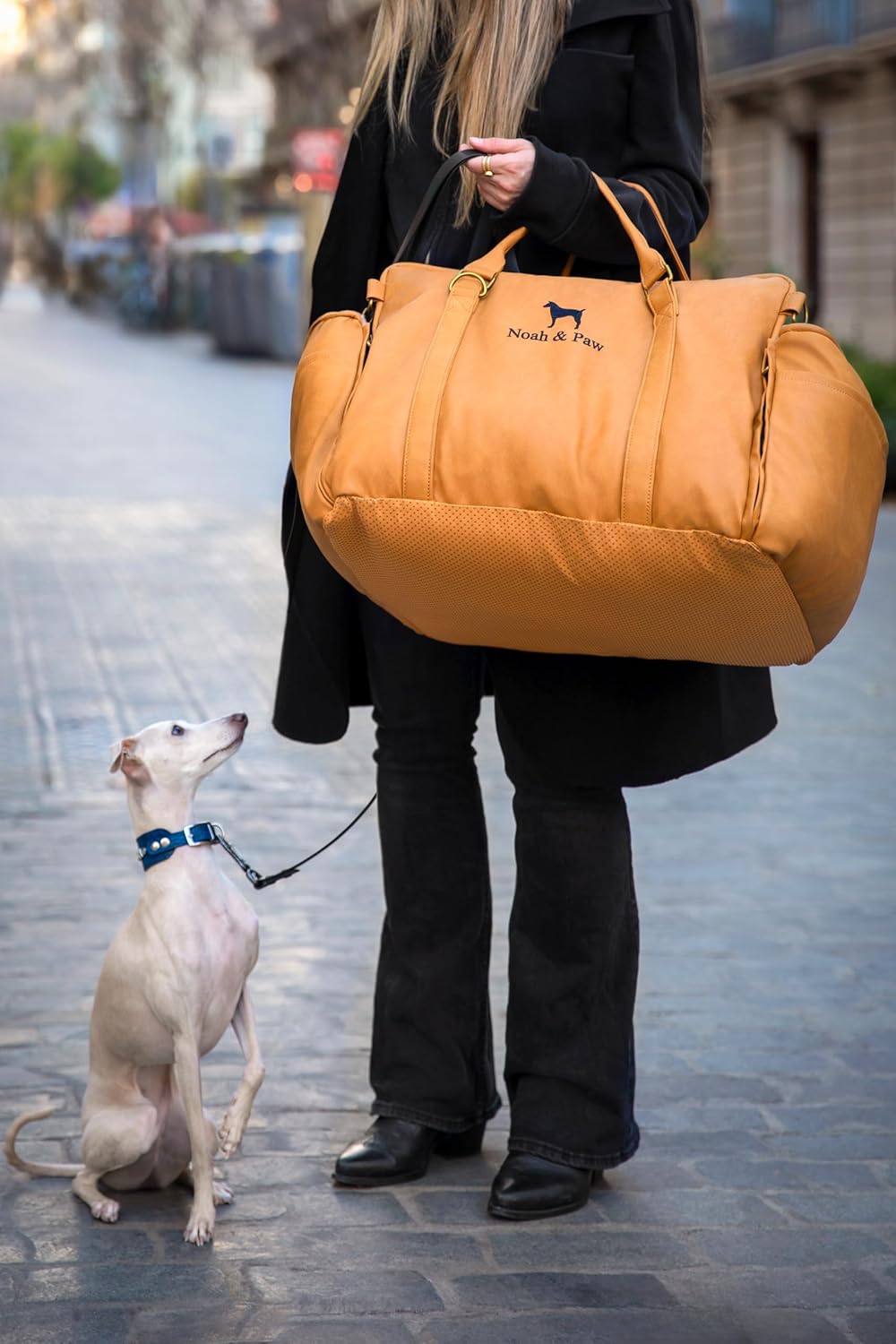 Dog Car Seat Carrier, Small Dog Car Seat for Small Medium