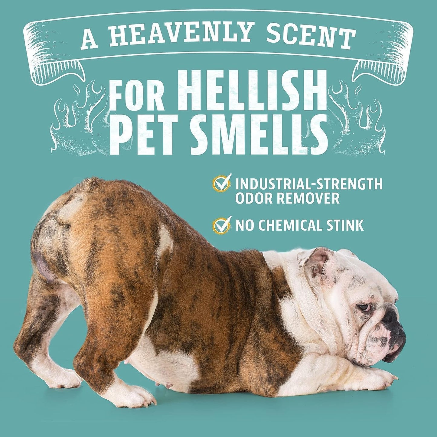 Pet Odor Eliminator for Dog and Cat Urine, Carpet Stains