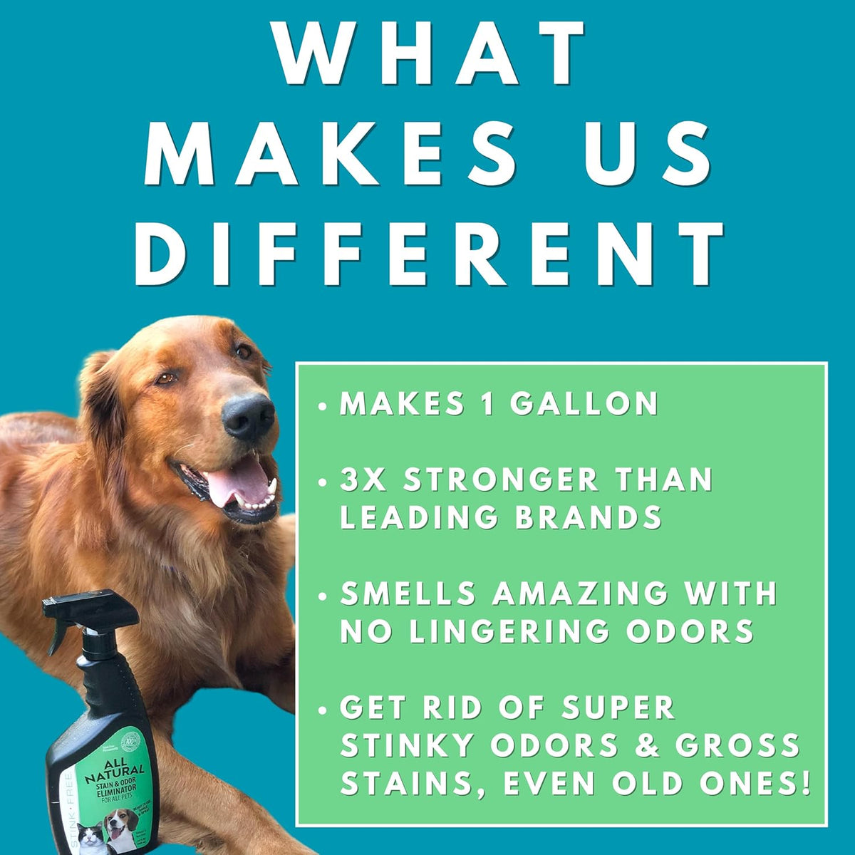 All Natural Stain & Urine Odor Eliminator Pet Enzyme