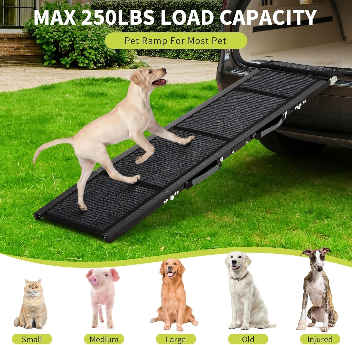 63 in Long Dog Ramp for Cars, 20 in Wide Folding Pet Ramp