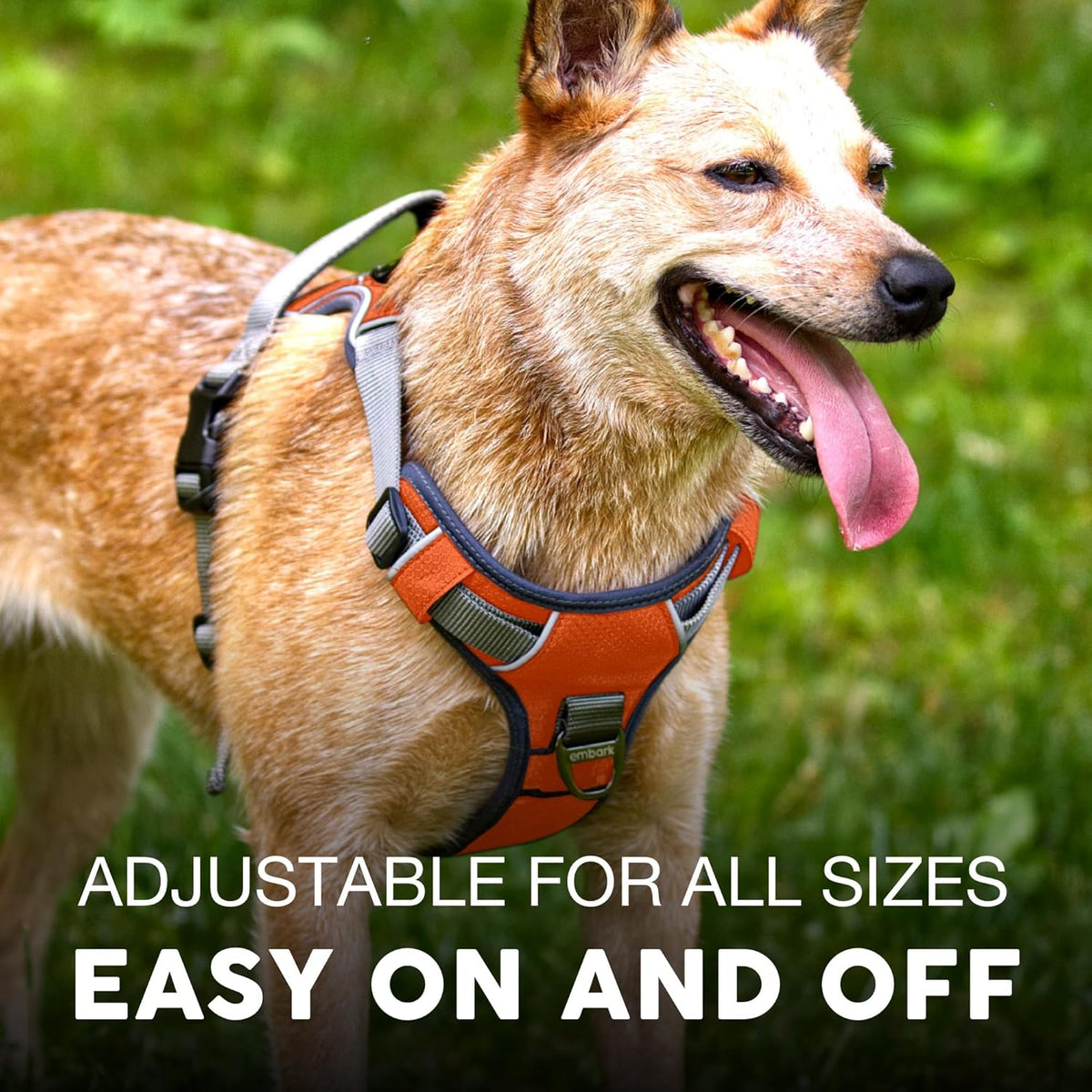 Embark Adventure No-Pull Medium Dog Harness – Reflective