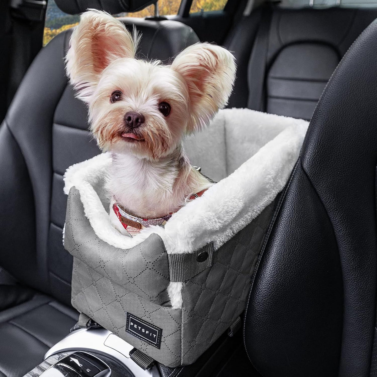 Center Console Dog Car Seat with Safe Protection Hooks, Pet