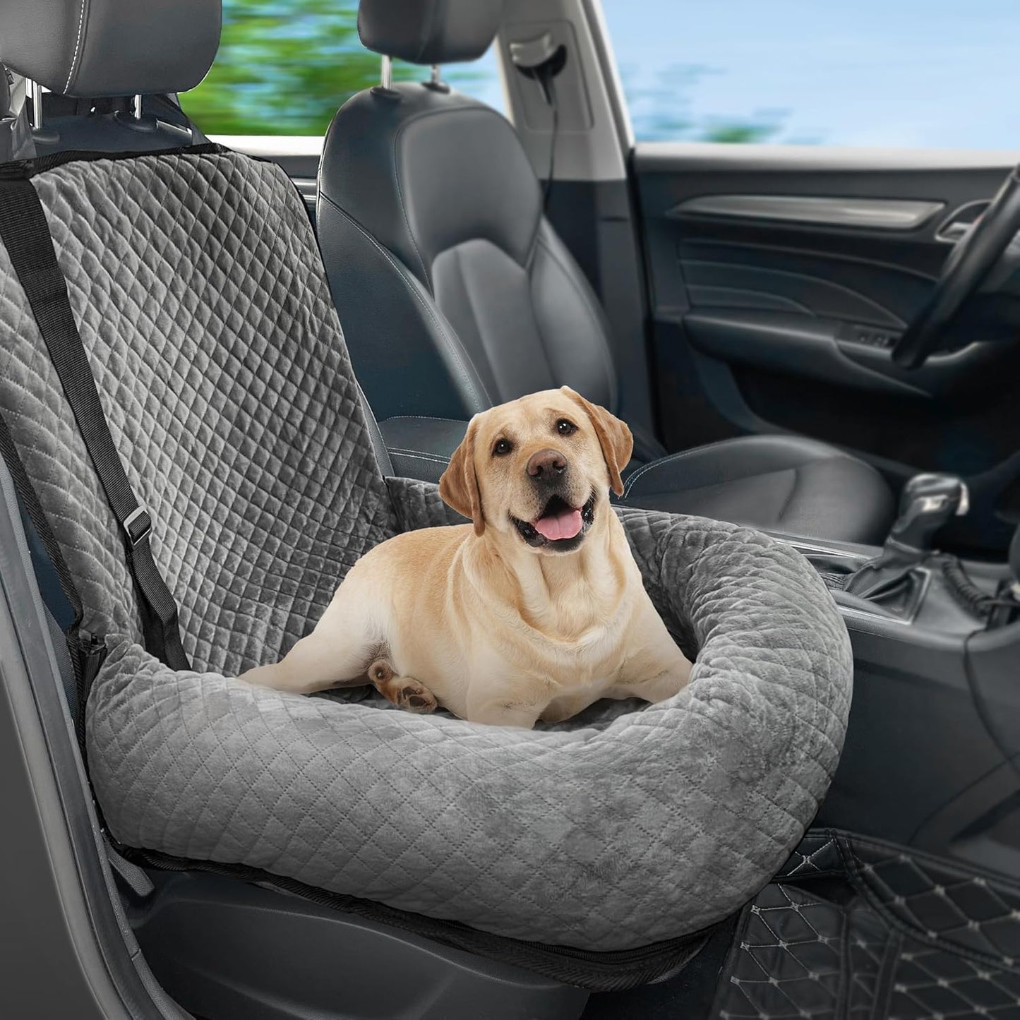Dog Car Seat for Small Medium Dogs,Detachable Washable