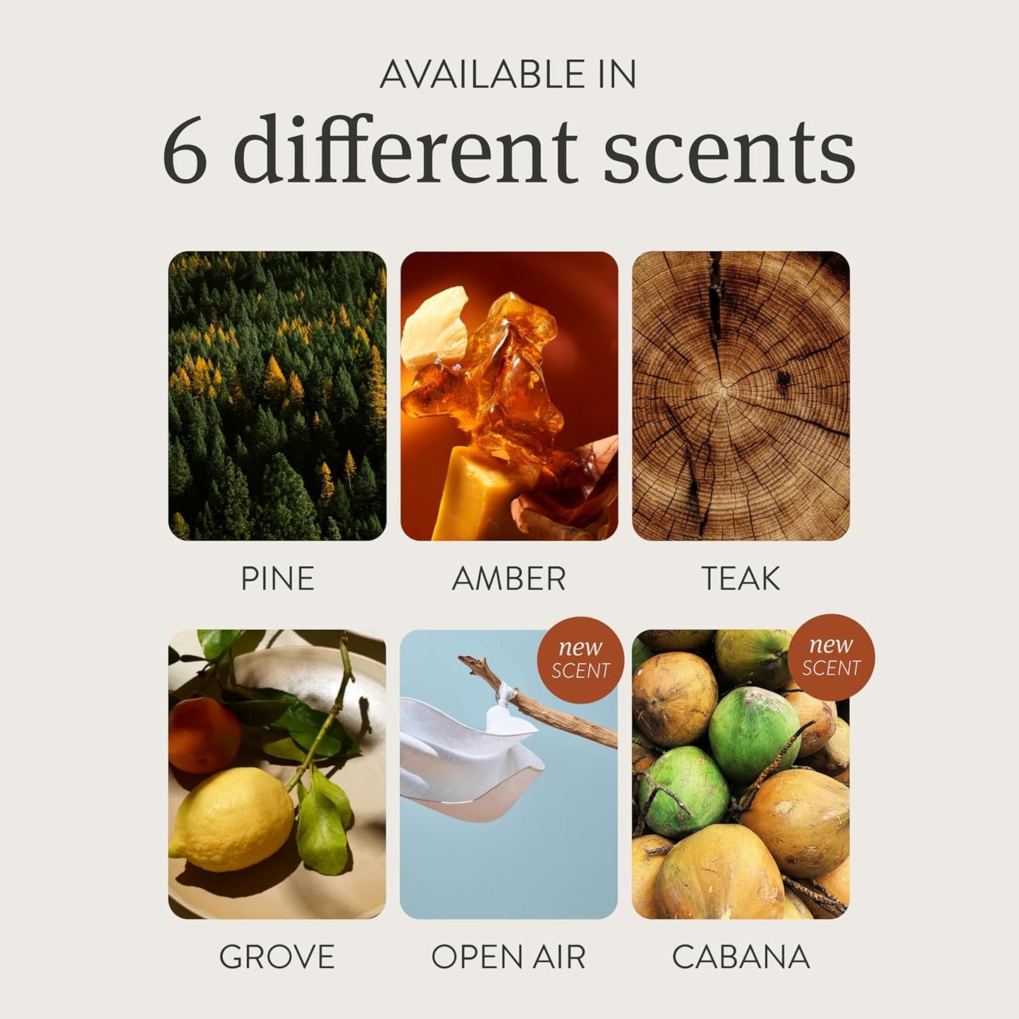 Car Air Freshener - Stone Air Freshener Car Odor Eliminator