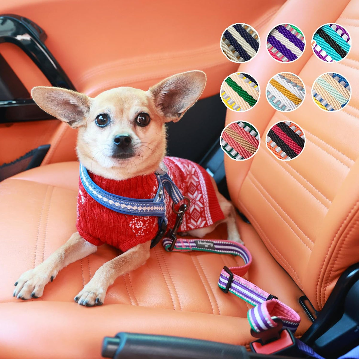 Dog Leash Puppy Essentials - 3M Reflective Adjustable Dog
