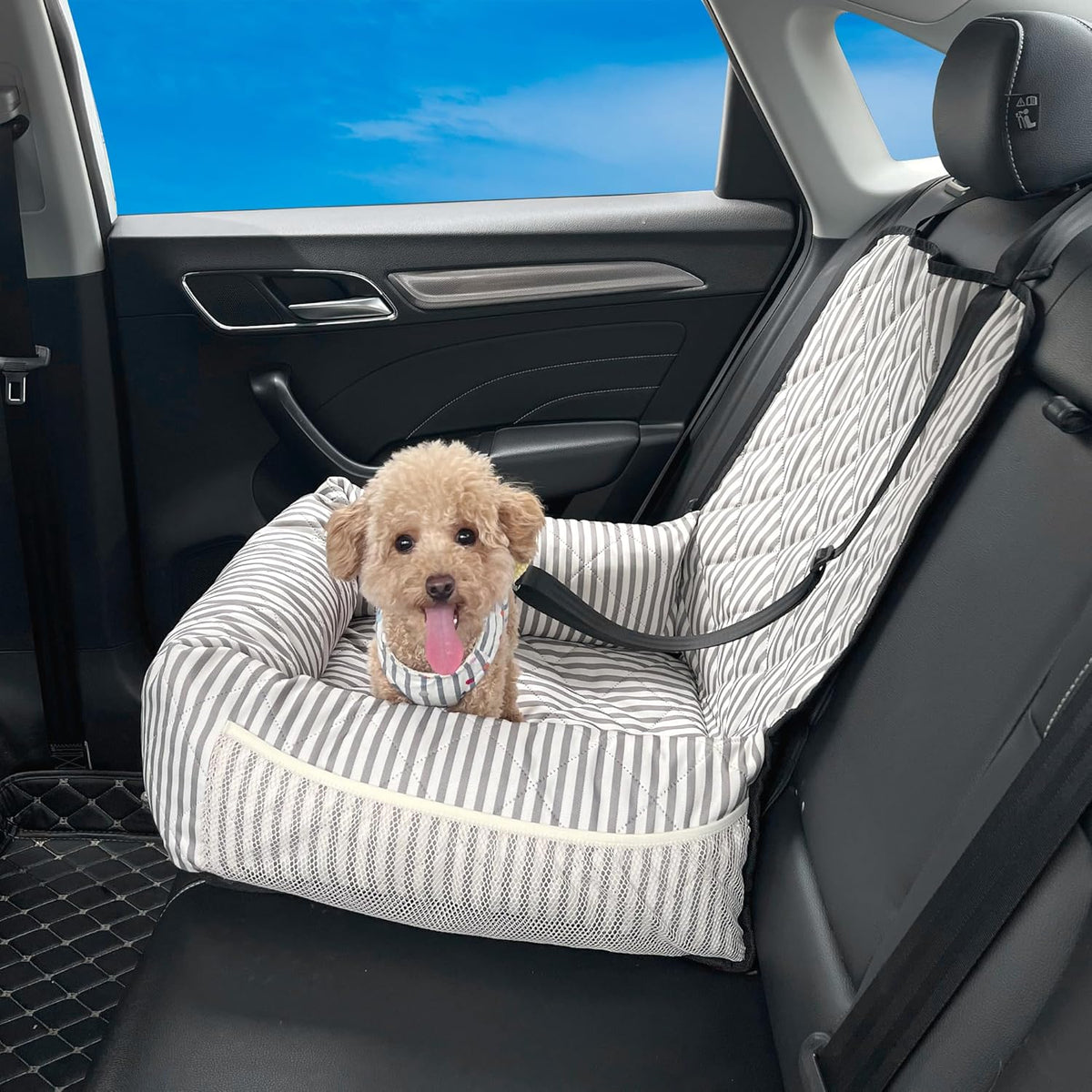 Dog Car Seat for Small and Medium Dogs, Booster Seat Sofa