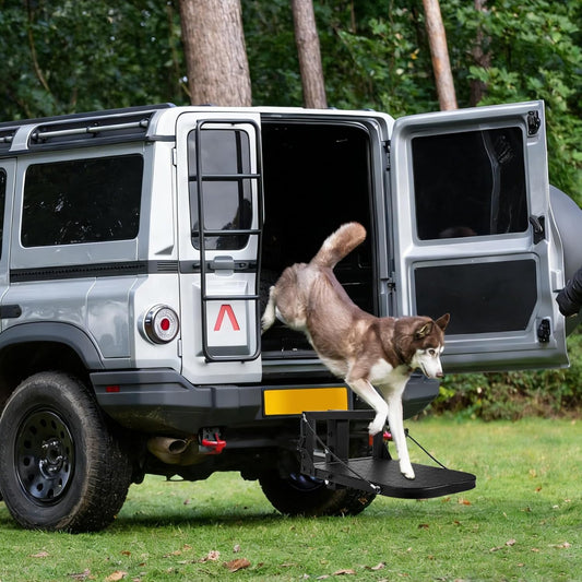 Folding Dog Ramp for Car, Step Pet Ramp Portable & Foldable