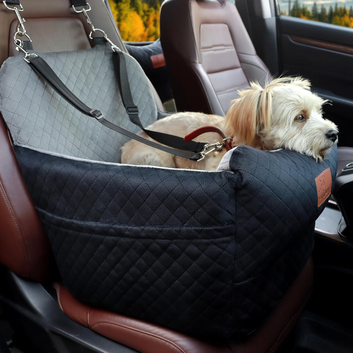 Dog Booster Car Seat for Medium/Small Sized Dogs,Memory