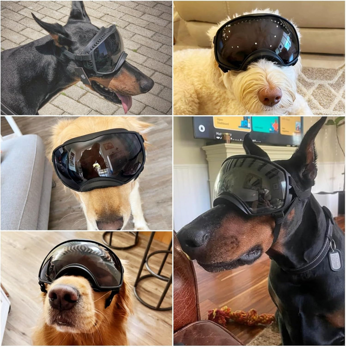 Dog Goggles Large Breed, UV Protection, Driving Doggie