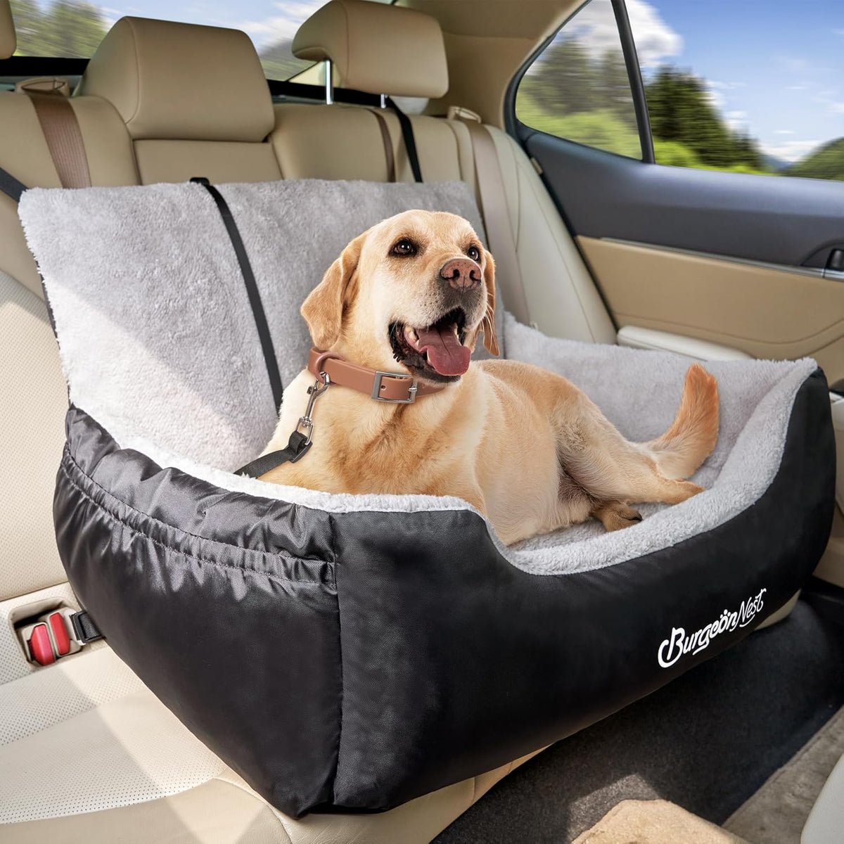 Dog Car Seat for Medium/Large Dogs Under 55 lbs, Soft Pet