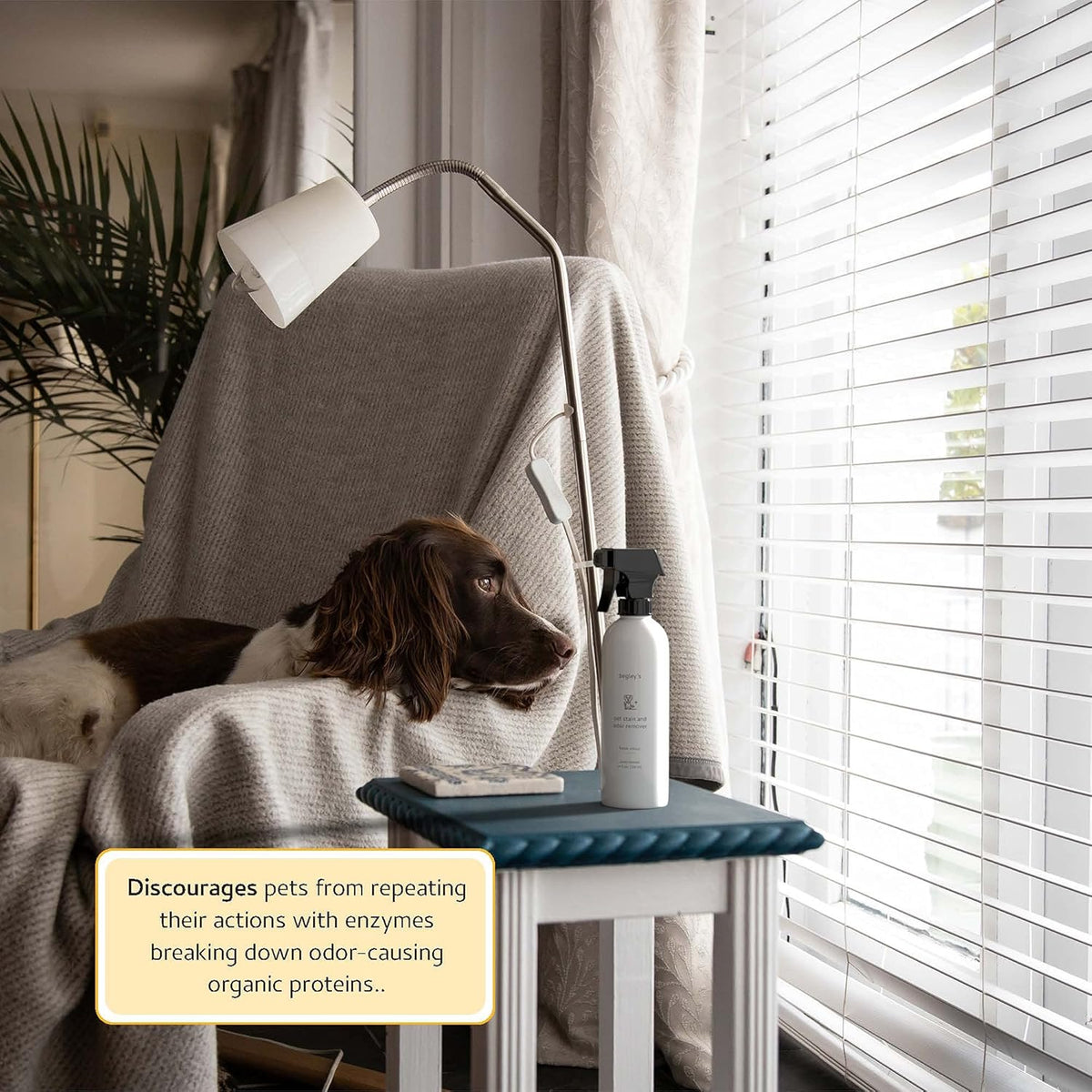 Pet Stain and Odor Remover - Pet Odor Eliminator for Home