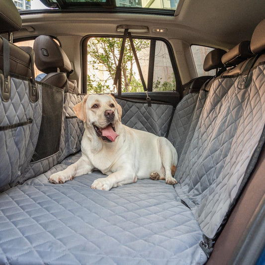Dog Car Seat Cover Hard Bottom- Back Seat Extender for