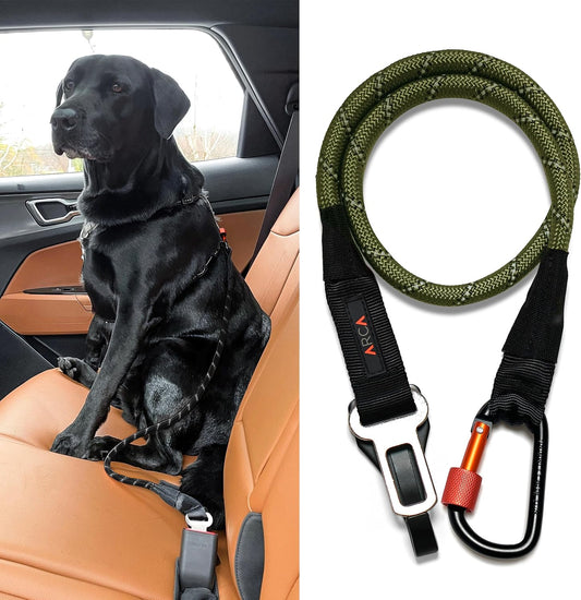 Dog Seat Belt for Car | Universal Dog Car Seatbelt |