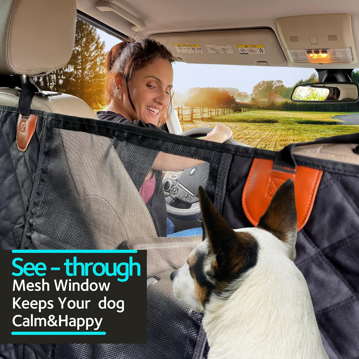 Dog Car Seat Cover for Back Seat, Dog Car Hammock with Mesh