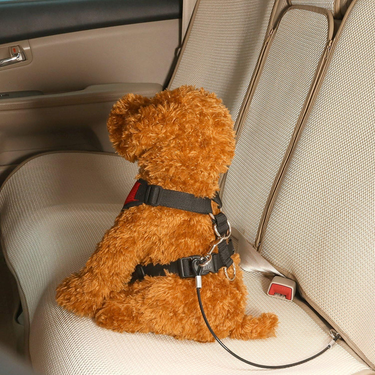 Pet Dog Car Seat Belt Restraint, Coated Stainless Steel