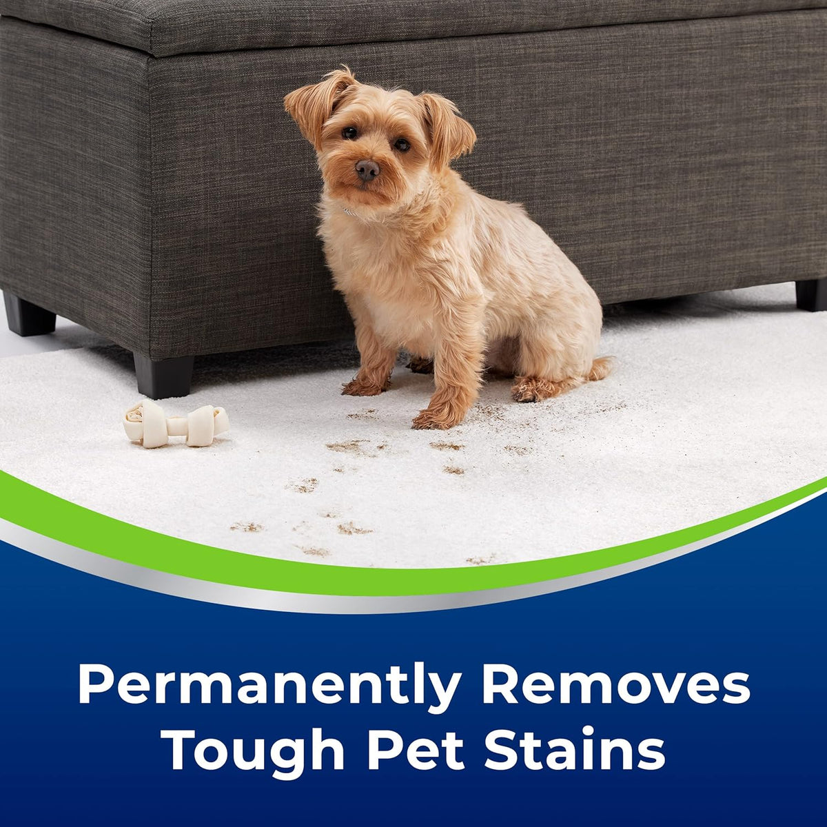 Woolite® Advantage Pet Stain & Odor Remover + Sanitize, 3327