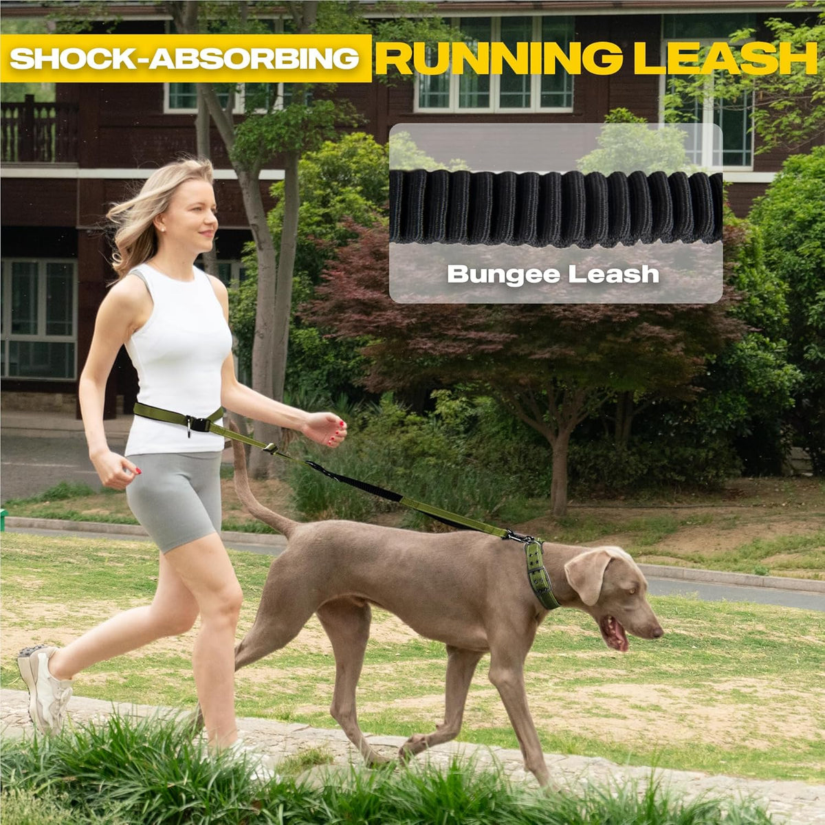 6-in-1 Hands Free Dog Leash Heavy Duty, Reflective Wasit