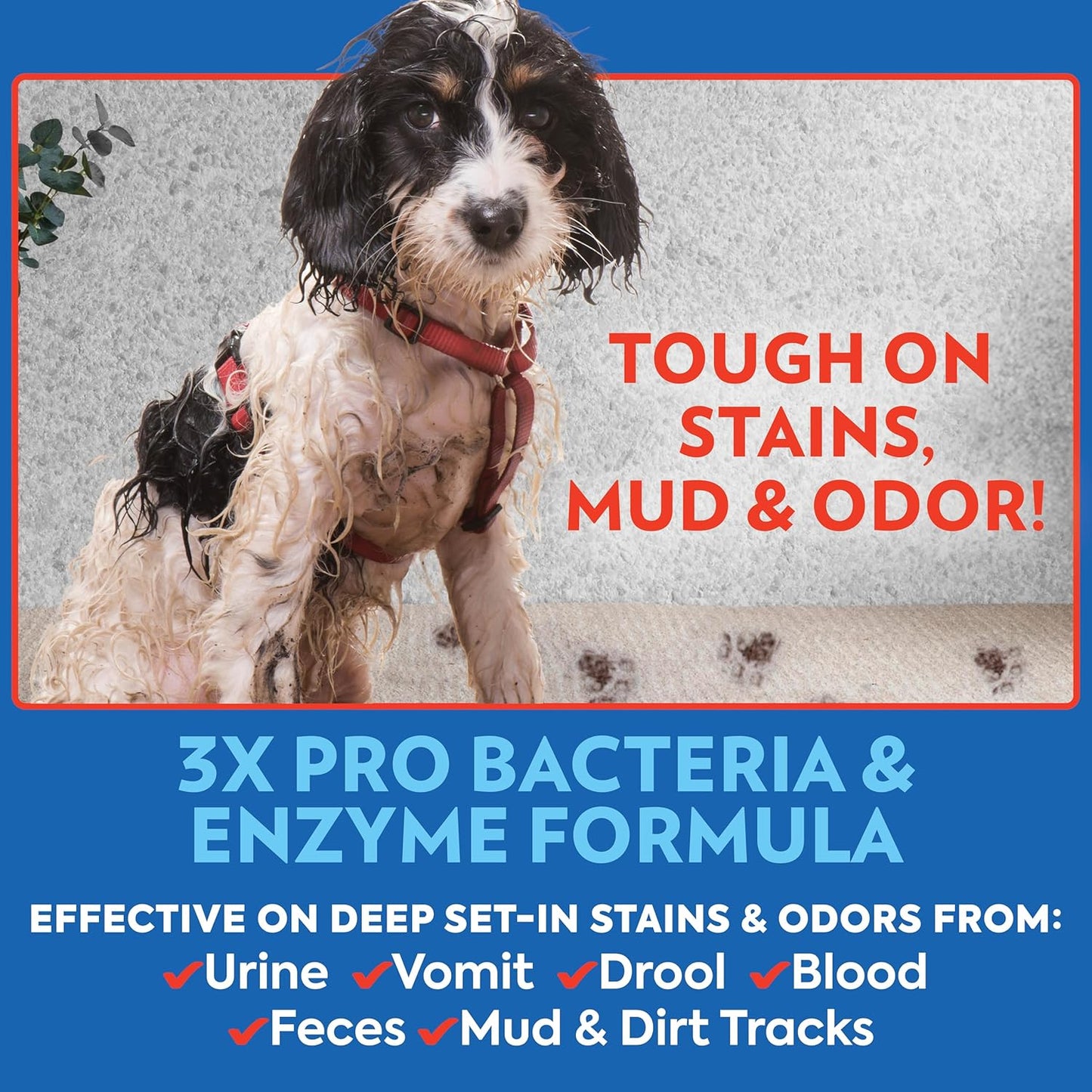 PetCare Pet Odor & Stain Remover Spray, Carpet & Floor