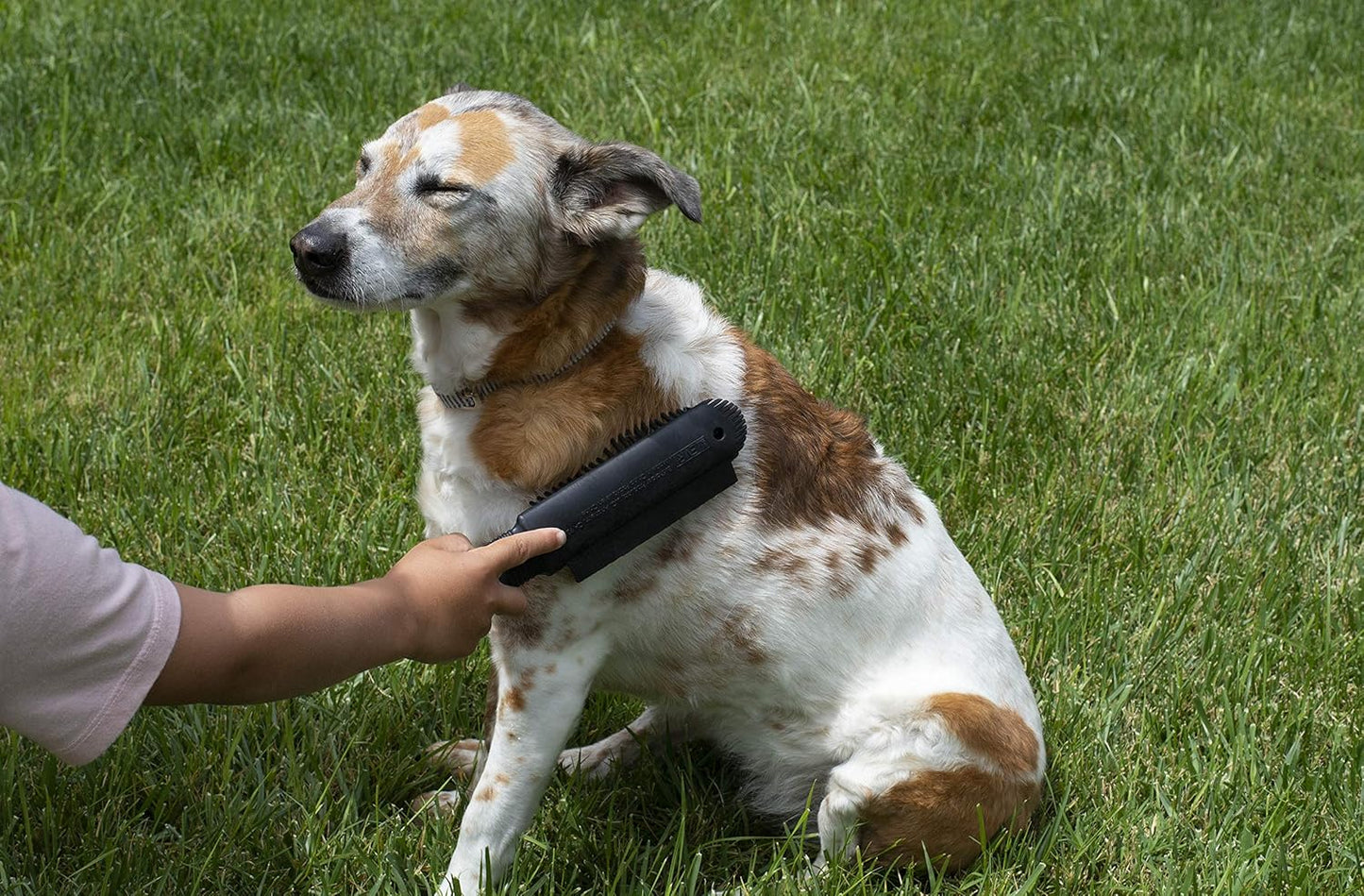 Plus Pet Hair Rubber Brush with Squeegee, Easily Remove Fur