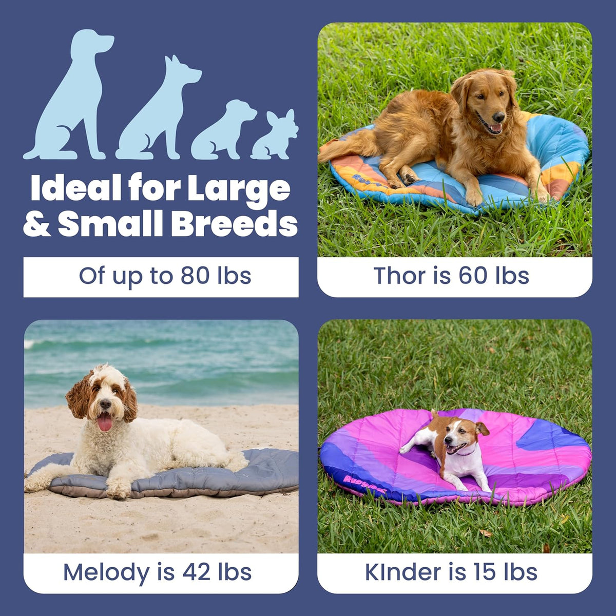 Travel Dog Bed - Foldable & Packable for Travel, Road Trip