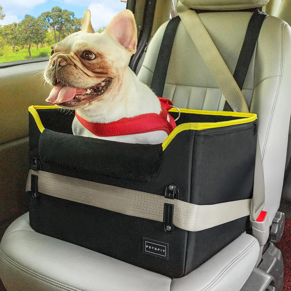 Small Dog Car Seat – Patented Safety Buckles – Safety