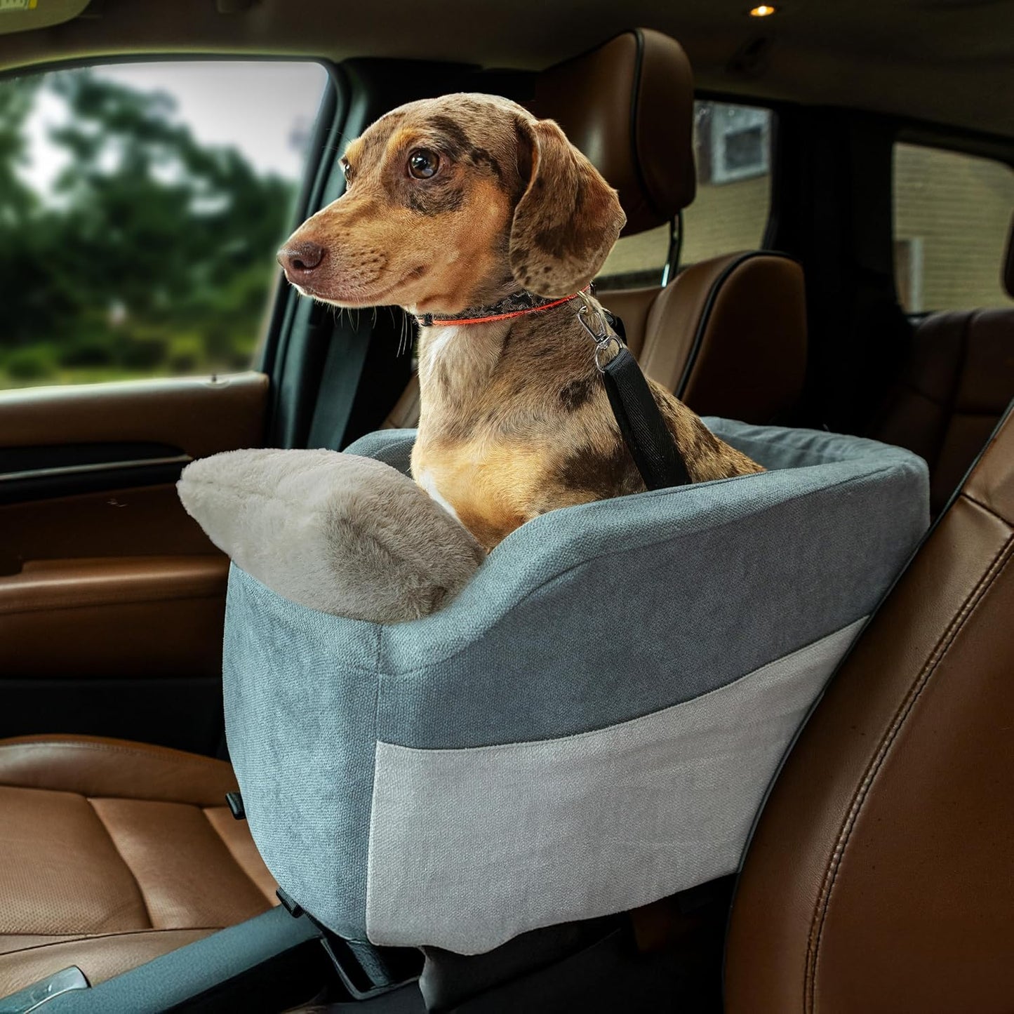 Center Console Dog Car Seat | 11 lbs MAX | Safety Straps &