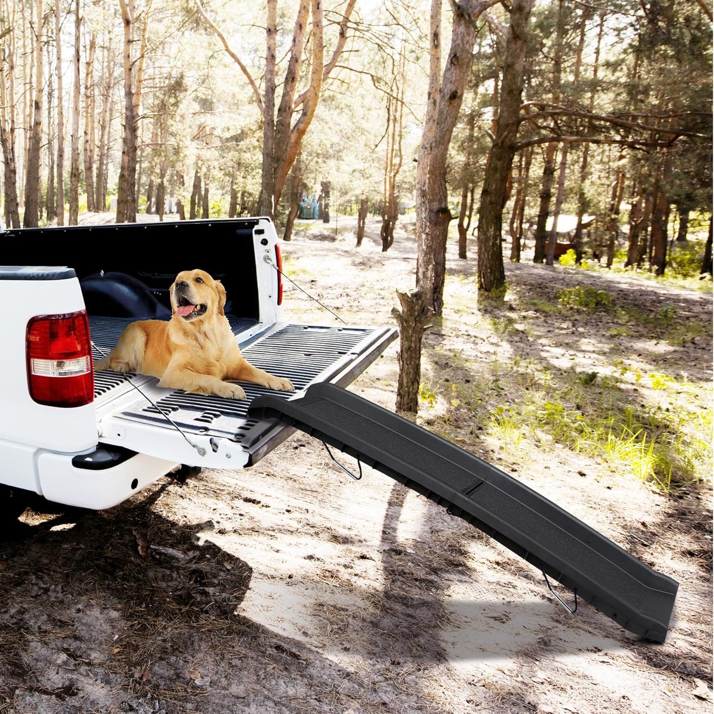 Folding Dog Ramp for Car, Non-Slip Pet Ramp with High