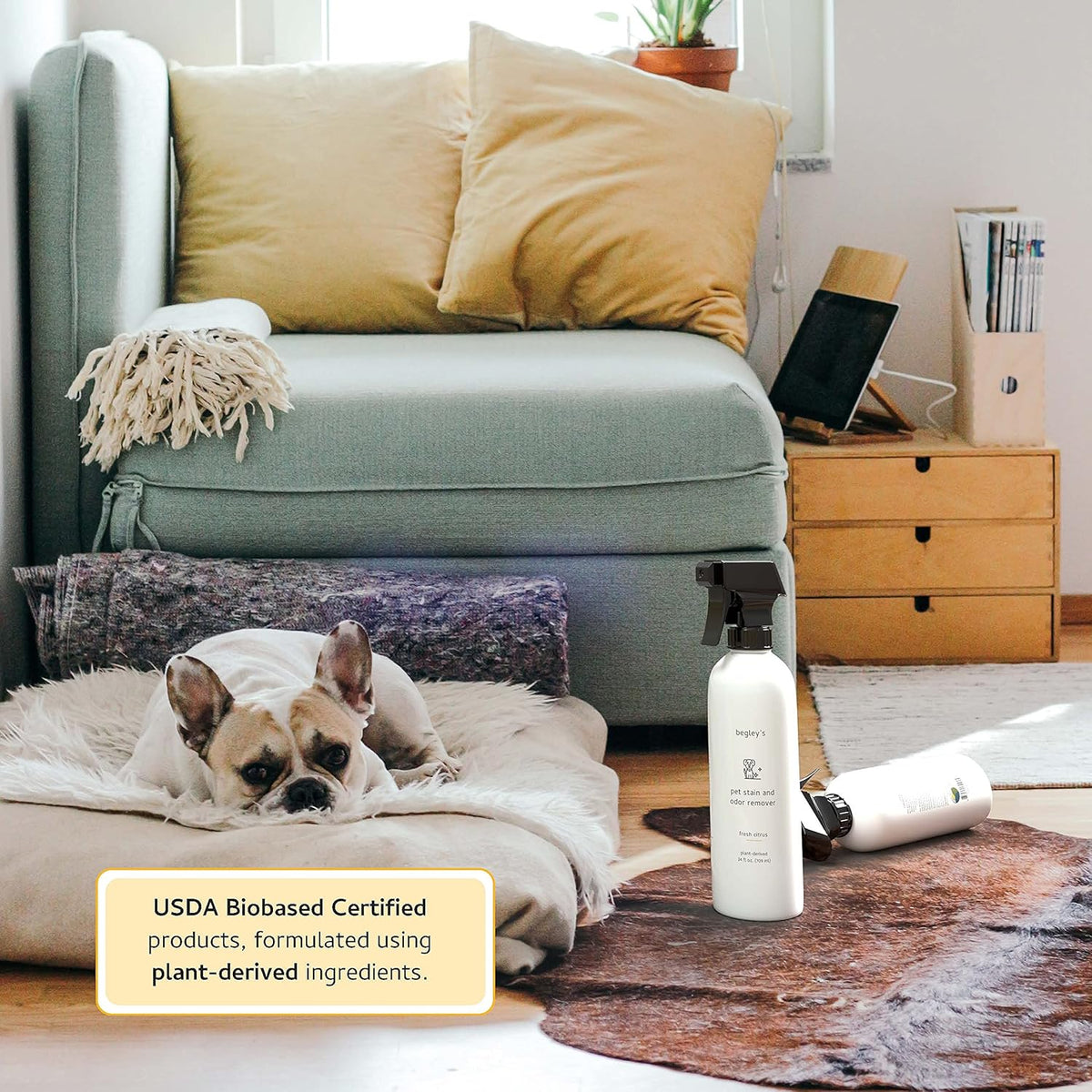 Pet Stain and Odor Remover - Pet Odor Eliminator for Home