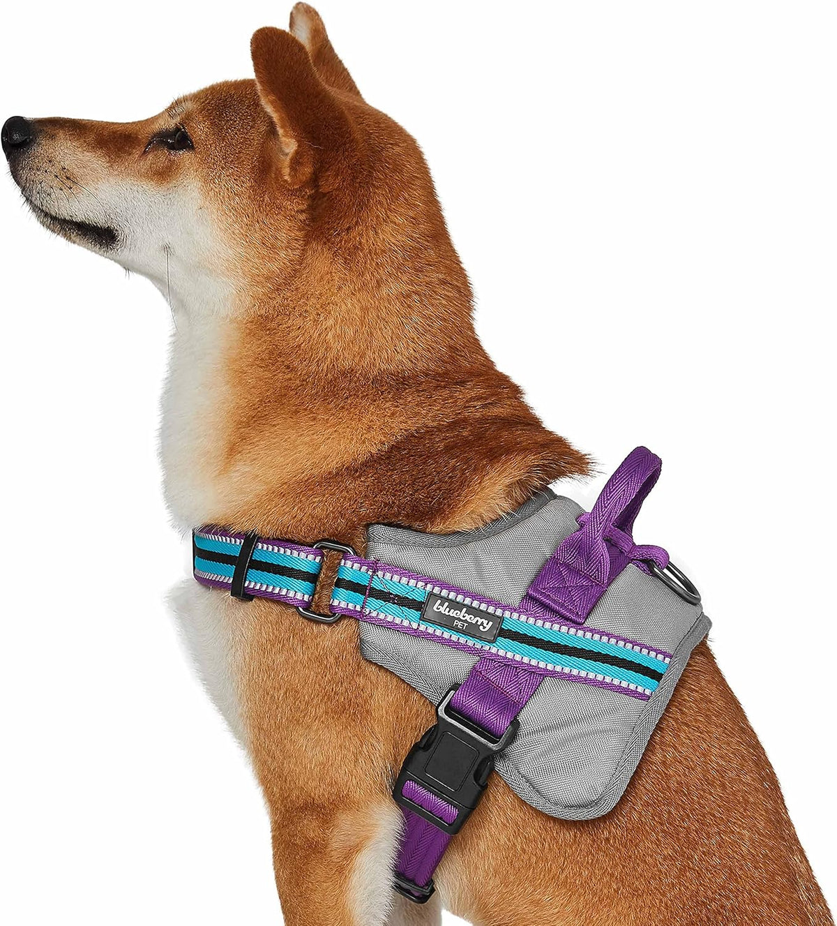 Reflective Dog Harness Medium Sized Dog Pink Dog Harness
