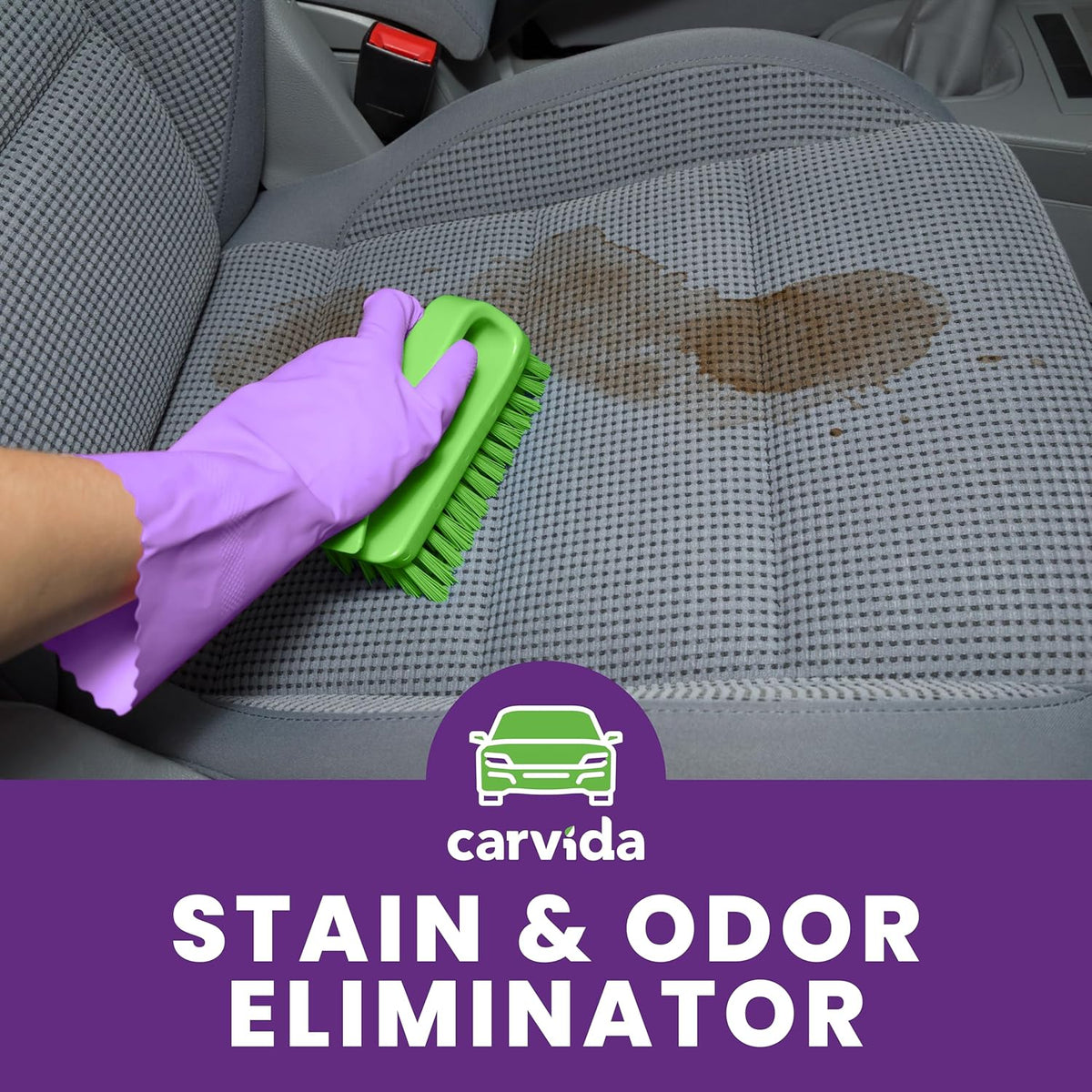 Pet Odor Eliminator, Enzyme-based Stain & Odor Remover