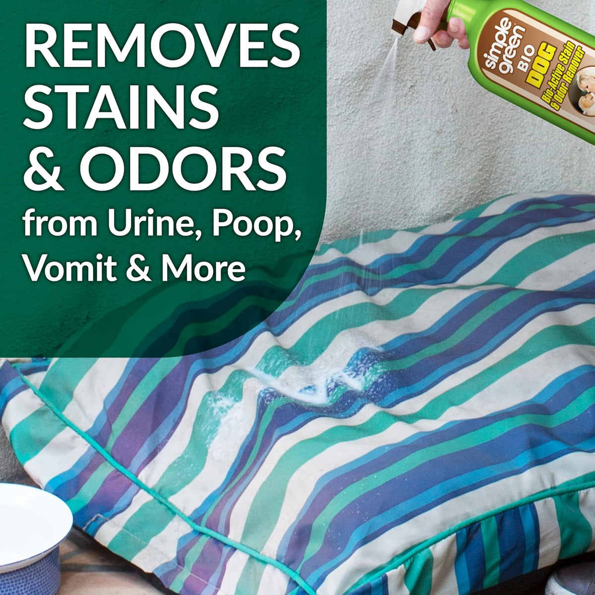 Bio Dog Active Stain & Odor Remover - Enzyme Cleaner &